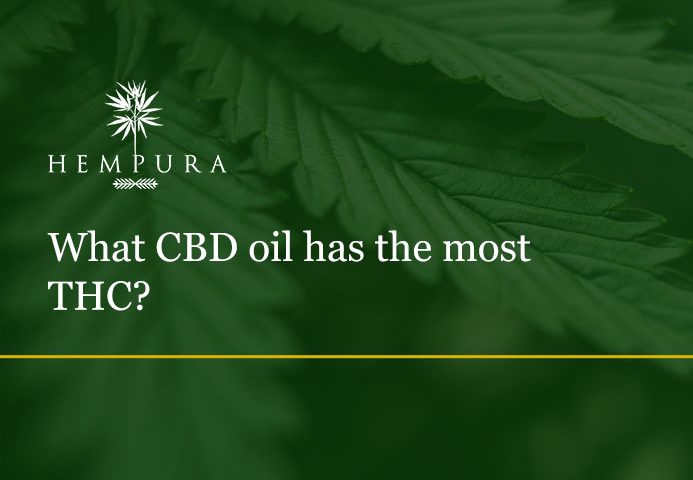 what-cbd-oil-has-the-most-thc