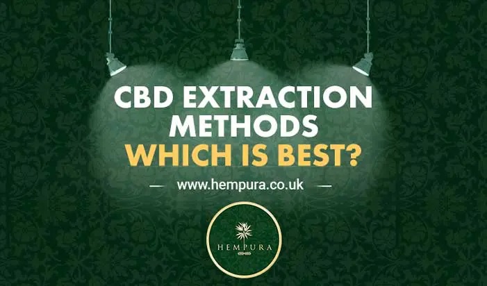 Hempura Blog Featured Image CBD Extraction Methods Which is Best?