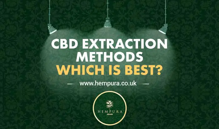 Hempura Blog Featured Image CBD Extraction Methods Which is Best?